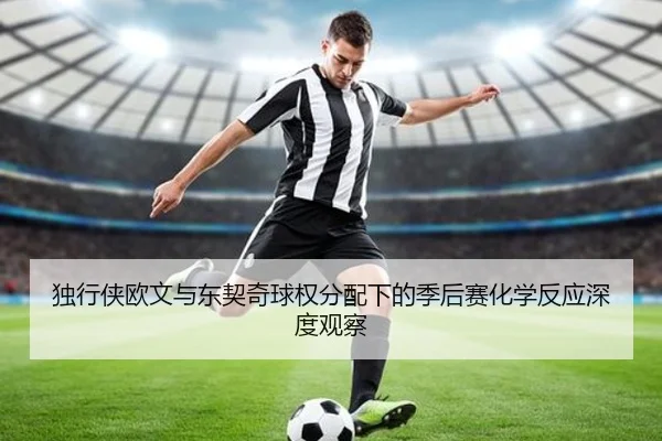 独行侠欧文与东契奇球权分配下的季后赛化学反应深度观察