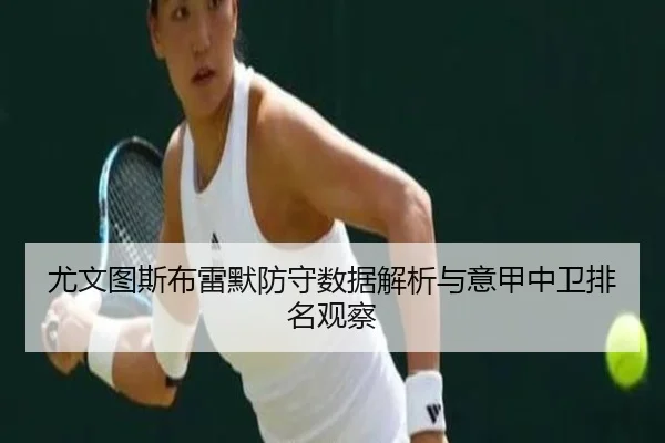 尤文图斯布雷默防守数据解析与意甲中卫排名观察